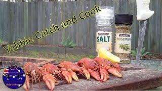 Catch and cook - Massive Fresh yabbies straight outta the water | CJ's Adventures