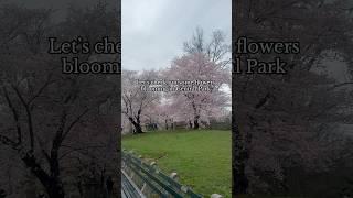 Have you been to Central Park yet? #fypppp #centralpark #nyc