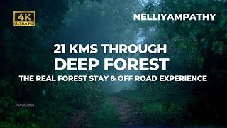 21 Kms Through Deep Inside Forest | Nelliyampathy Forest Stay | Vlog#81