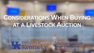 Considerations When Buying at a Livestock Auction