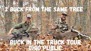 2 Buck from the same tree! Public Land Deer Hunting: Ohio Buck in the Truck Tour 2024