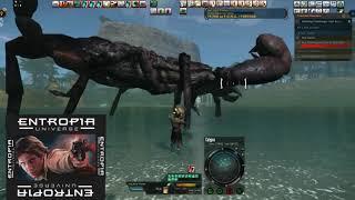 25000 dollar loot Entropiauniverse.com twitctv/solorrf