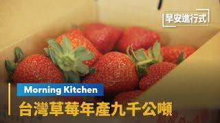 【Morning Kitchen早安廚房】大人小孩都愛它！　台灣草莓年產九千公噸 The Story of Strawberry - From Farm to Table｜早安進行式 #鏡新聞