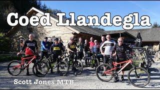 OnePlanet Adventure, Coed Llandegla MTB - 15 September 2019