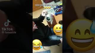 #смешное#умор#поугарать