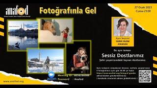 Anafod Fotoğrafınla Gel - Derya Yazar Atasever 'Sessiz Dostlarımız' Fotoğraf Sunum ve Söyleşisi