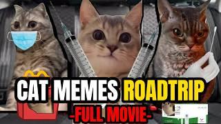 Cat Memes Roadtrip Compilation Full 1 Hour