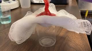 Lab Demo: Strawberry DNA extraction