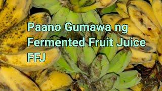 Paano Gumawa ng Fermented Fruit Juice | DIY FFJ