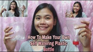 How to Make Your Own Self Watering Plastic Bottles