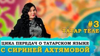 #3 ПОЧЕМУ ВАЖНО ЗНАТЬ ТАТАРСКИЙ ЯЗЫК? | Цикл передач о татарском языке