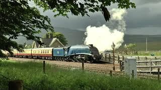 Sir Nigel Gresley A4 60007 'The Fellsman'  A wild Day 05/06/24