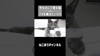 猫の手にフタを乗せたらこうなりますw #shorts