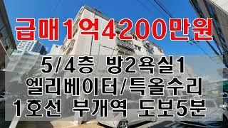 1006-75/역세숸 올수리 된 빌라/부개역 도보 5분/엘리베이터 있음/주차가능/초중고인접/신축급 올수리