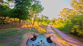 Uncut FPV Freestyle in the trees