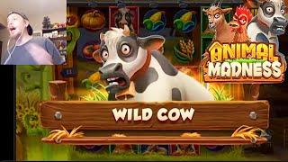 Animal Madness Quadruple Slot Bonus!!