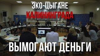 Как ЭКО-бизнес ТРЕБУЕТ деньги у ГОСУДАРСТВА? | Экономика в экологии