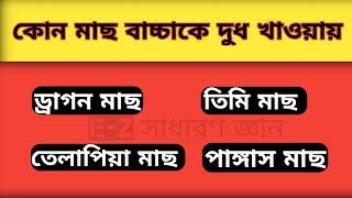 কোন মাছ বাচ্চাকে দুধ খাওয়ায়। জানলে অবাক হবেন।E-Z সাধারণ জ্ঞান।