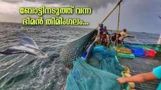 ദൈവമേ!!! ഭീമൻ തിമിംഗലം ബോട്ടിനരികിൽ | Giant Whale Encounter In Indian Ocean | Ep-1| Deep Sea Fishing