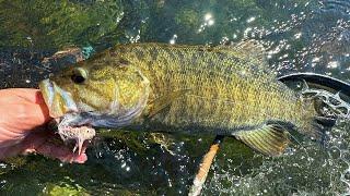 Fall Fly Fishing for BIG Smallmouth Bass