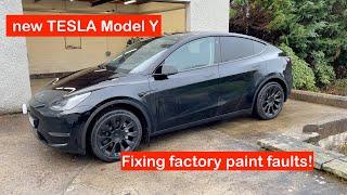 Detailing a new Tesla Model Y - fixing factory paint faults!