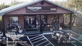 Tampa Triumph - Dealer of the Year