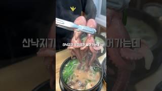 산낙지 비싸지 않나???#리뷰