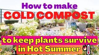 How to make cold compost to help plants survive in this hot Summer? | Great for beginner gardeners