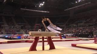 Max WHITLOCK Pommel GOLD - 2016 Apparatus Finals