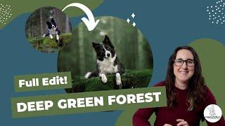 Deep Green Forest: FULL Pet Photo Editing Tutorial!