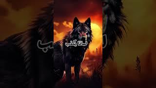 حكمة اليوم ... حكم وأقوال ملهمة عن الحياة  #حياة #أقوال #حكم #إلهام #تحفيز #نصائح_حياتية #حكمة