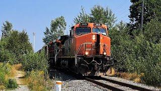 A Very Friendly Engineer Gives Me A Horn Show on CN C44-9W 2651 With Its K1L13 on Train 598!