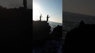 Montenegro Fishing  #shorts video