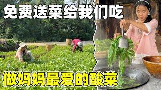 Chinese Sauerkraut｜村裡的阿姨免費送菜給我們吃，純天然的有機蔬菜，全部用來當媽媽最愛吃的酸菜