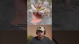 Как продвигать ютуб #instagram2025 #бизнес #реклама