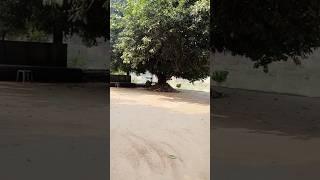 How water is supply to all are of SDK. MUST watch