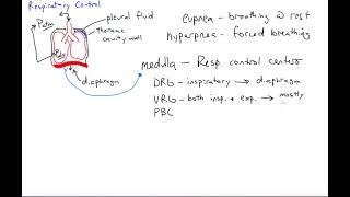 Respiratory control