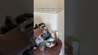 Hair wash day #hairwashday #vlog #adayinmylife #youtubeshorts #haircare