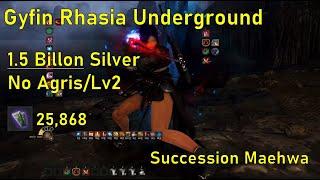 [BDO] Succession Maehwa Gyfin Underground 25,868/hr (Lv2 LS, No Agris) / 전승매화 가이핀 지하