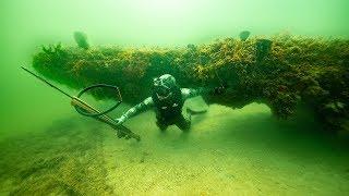 Searching For Giant Fish Under Coral Caves!! (Spearfishing) | Jiggin' With Jordan