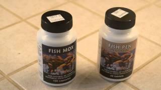 Fish Mox and Fish Pen (Fish Antibiotics)