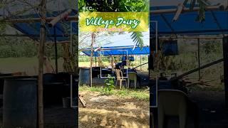when village serves #feast  #ytshorts #food #youtubeshorts#ashortaday