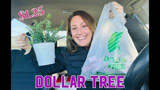 DOLLAR TREE HAUL NEW $1.25 Spring Items & Incredible Makeup!