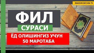 ФИЛ СУРАСИ (ЁД ОЛИШИНГИЗ УЧУН) 50Х МАРОТАБА - НАМОЗ УЧУН ЗАМ СУРА [Mahzun bo'lma tv]