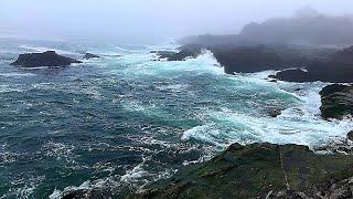 Relax with Powerful Waves at Maine's Rocky Coast 