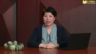 数学思考整理与复习（一）小学数学六年级下册人教版