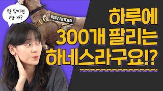 [9화] 하루에 300개 팔리는 하네스! 미국 펫시장 저격하기! ㅣ아마존 탐험대