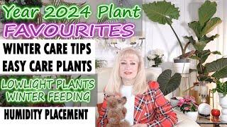 Top 14 Favourite Plants Collection of 2024 | Houseplant Winter Care | Low Light & Humidity