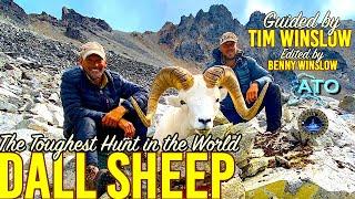 Hunting Dall Sheep with Timmy Winslow (ALASKA)