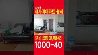 효성동 새사미아파트 22평월세  1000-40, 이사11월8일이후, 특올수리, 정남향, 쇼츠 SHORTS